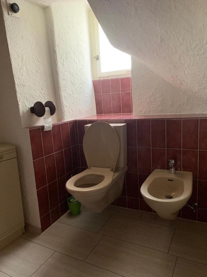 Friendly Hostel Zuerich Exteriör bild